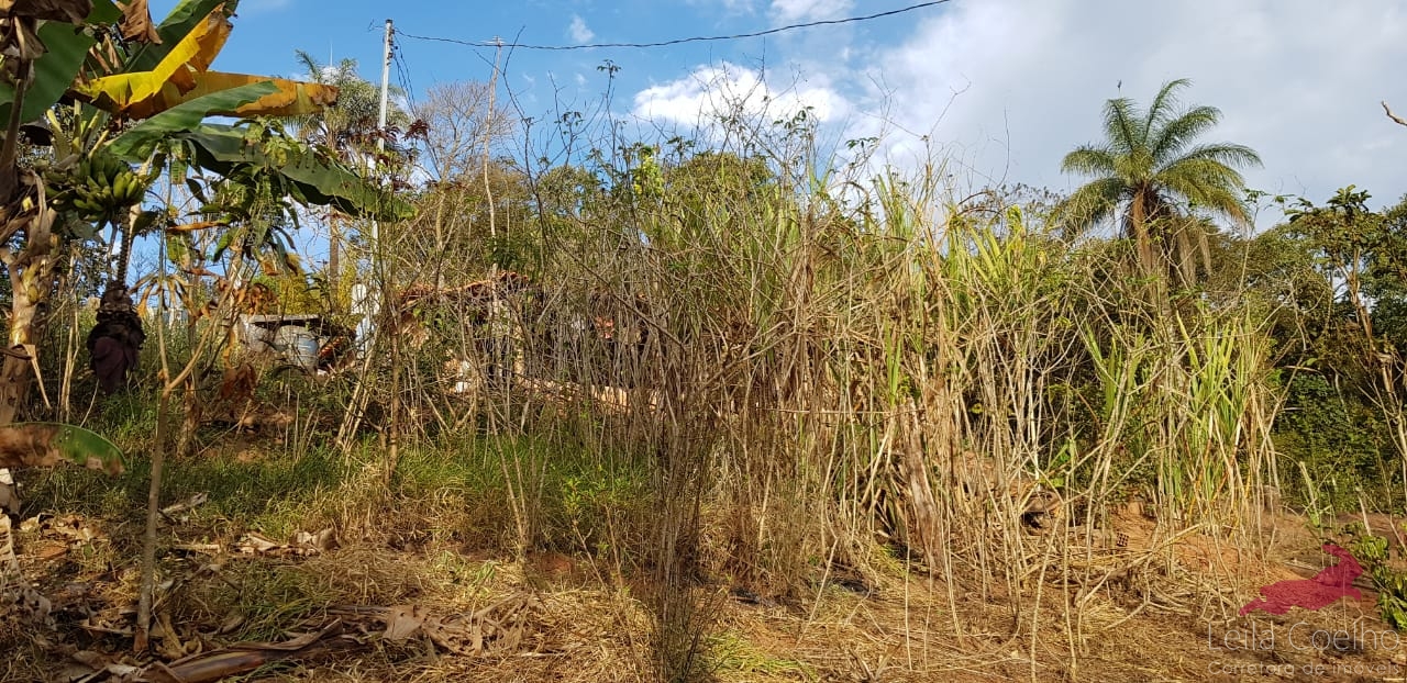 Chácara à venda com 2 quartos, 80m² - Foto 3